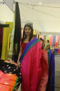 Mrs.Goa-Samiksha@Silk India Expo 